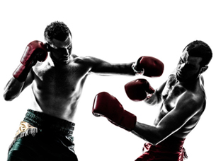 vignette-boxe-anglaise1_1491810759.jpg