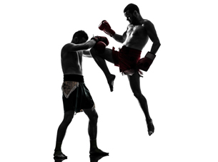 vignette-boxe-anglaise2_1491810759.jpg